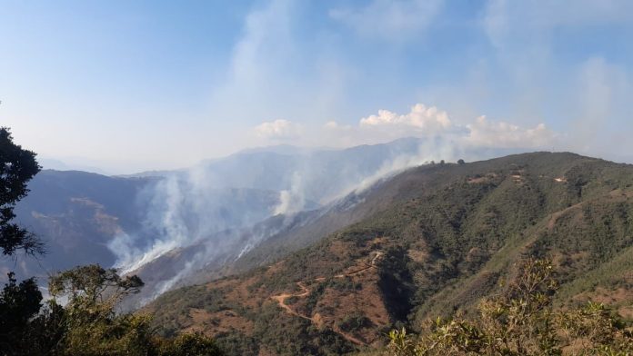 covarachia incendio