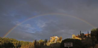 Foto del día