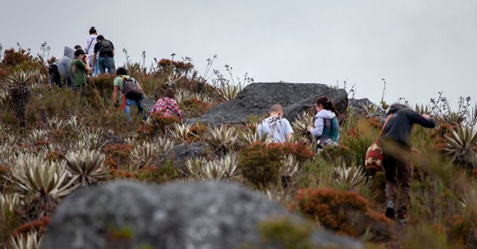 paramos