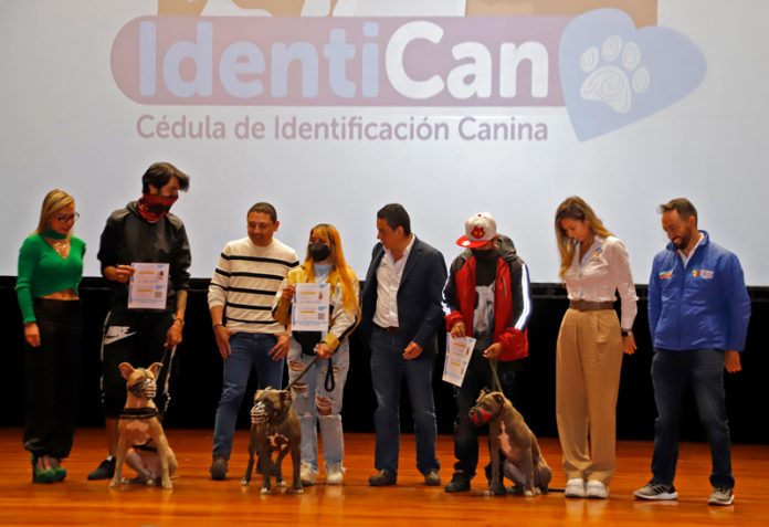 Perros-Identican-11