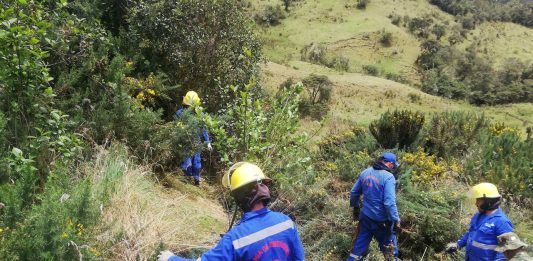 Especies invasoras amenazan biodiversidad del país