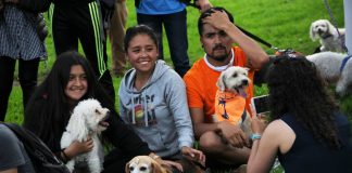 Perros, gatos y humanos, la nueva familia multiespecie