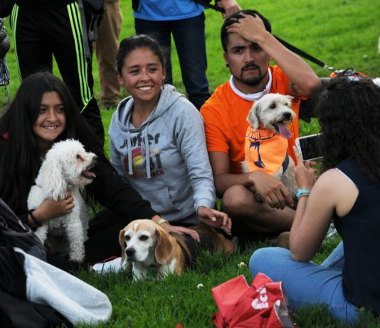 Perros, gatos y humanos, la nueva familia multiespecie