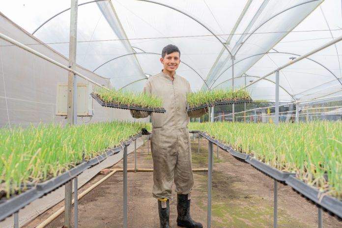 cedeagro