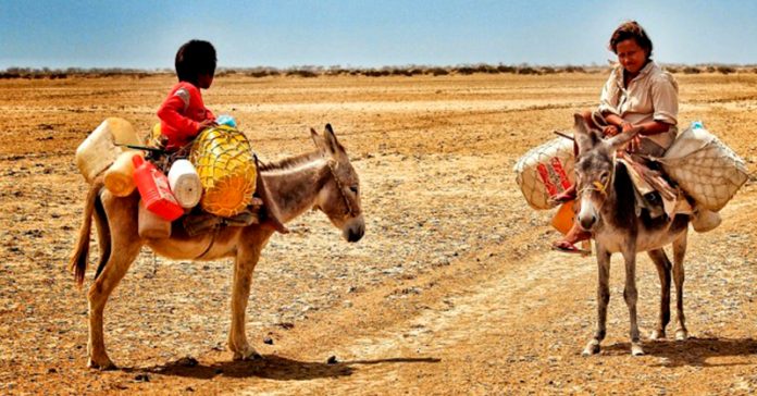 indigena-wayuu-agua-desierto-mundo-tierra