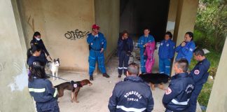 En Tunja se formarán guías caninos de Latinoamérica