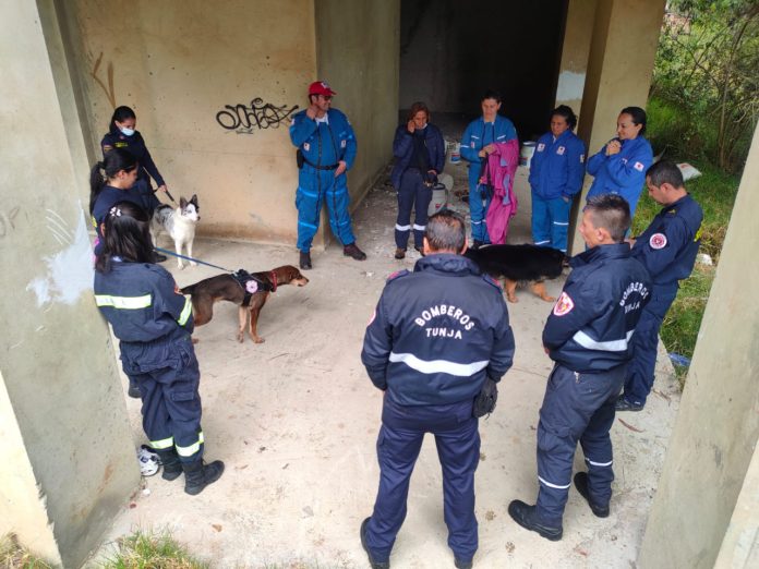 perros bomberos