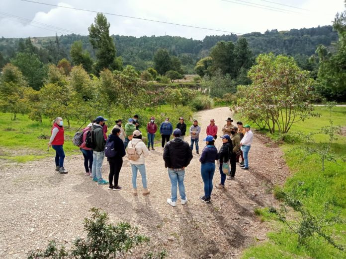 jardin botanico tunja