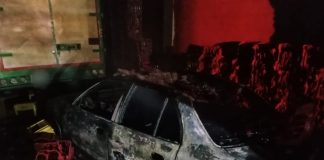Un perro perdió la vida en incendio al norte de Tunja