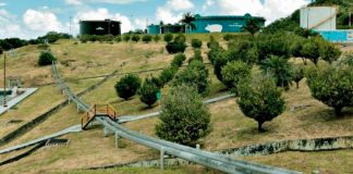 Convocatoria para mejorar capacidades productivas y empresariales de unidades productivas
