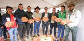Quedó en firme el ‘Día Departamental de la Papa’