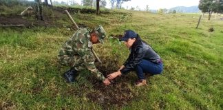 Ejército Nacional apoya la reforestación en Boyacá