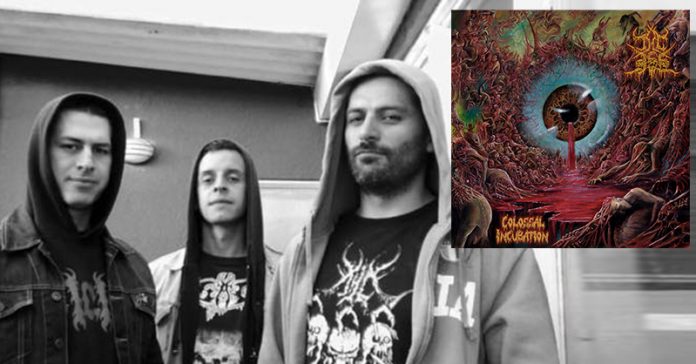 colossal-thc666