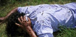 El Cocuy no tendrá que pagar indemnización por muerte de joven que fue atacado por enjambre de abejas