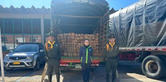 128 bloques de madera incautó la CAR en Boyacá
