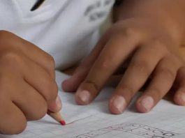Alerta por instituciones educativas que ofrecen ‘título exprés’ de primaria y secundaria