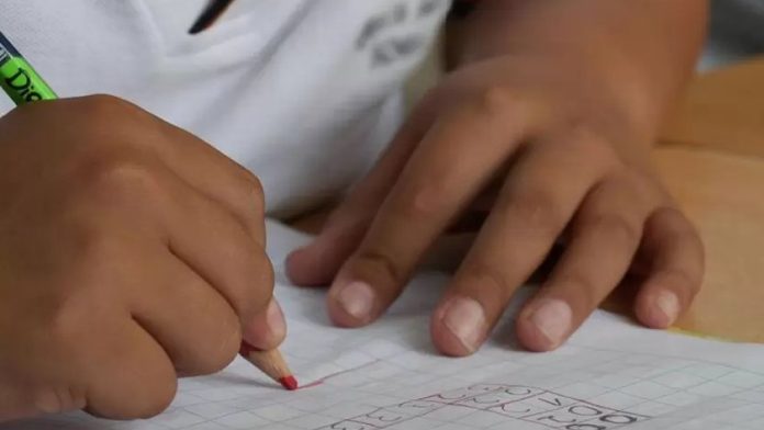 estudia
