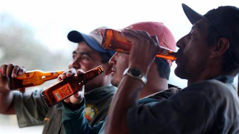 cerveza trago alcohol