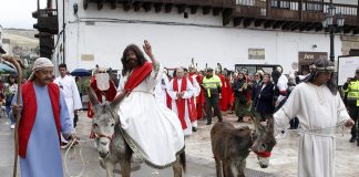 Domingo de Ramos en Tunja, en imágenes