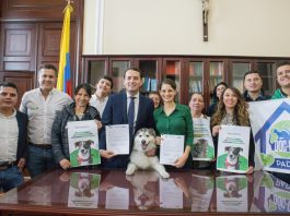 Aprueban ley para quitar el IVA al alimento de animales de compañía