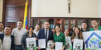 Aprueban ley para quitar el IVA al alimento de animales de compañía