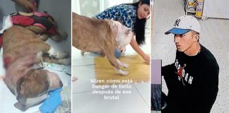 Danger en peligro