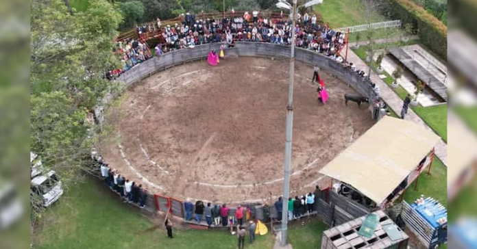 toros-sogamoso-ilegal