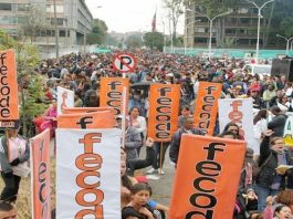 Senadora Cabal busca prohibir las huelgas de los maestros