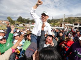 Test para saber que tan ‘Amayista’ es usted