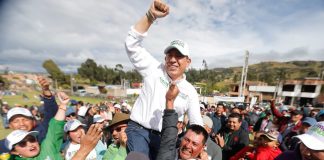 Test para saber que tan ‘Amayista’ es usted
