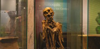 El rastro funerario de dos ancestros indígenas