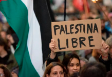 Este 29 de noviembre es con palestina