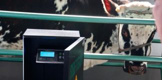 Gobierno Departamental instaló 21 sistemas de pesaje de ganado en 10 provincias