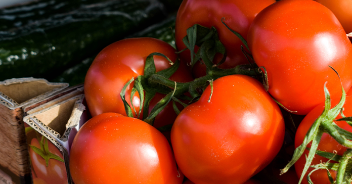 tomate