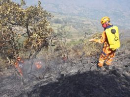 En enero, 75 incendios en Boyacá han arrasado 550 hectáreas de vegetación nativa, incluidas áreas de páramo