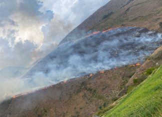 Incendio forestal entre Villa de Leyva y Chíquiza