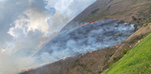 Incendio forestal entre Villa de Leyva y Chíquiza