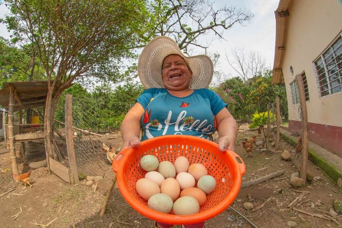 mujer agricultura agro campo campesina huevos