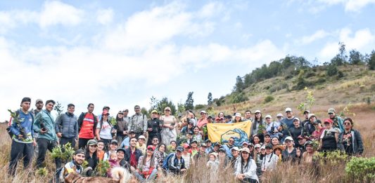 Caminata y siembra, 100 árboles nativos fueron plantados en Oicatá