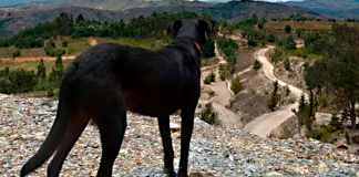 En Tinjacá buscan justicia para Matilda
