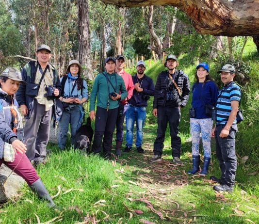 Corpoboyacá, comprometida en la conservación del cóndor andino
