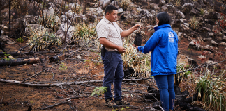 Medidas contra los incendios forestales que arrasan en Villa de Leyva