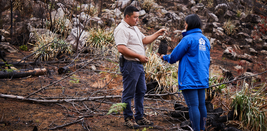 Medidas contra los incendios forestales que arrasan en Villa de Leyva