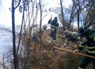 Atención y mitigación de incendio en predio vecino al Parque Ambiental de Pirgua