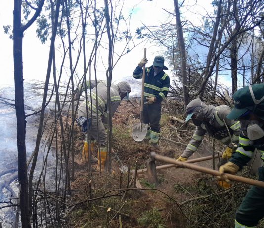 Atención y mitigación de incendio en predio vecino al Parque Ambiental de Pirgua