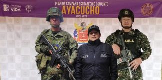 Hallaron 190 millones de pesos escondidos en bolsas de trigo