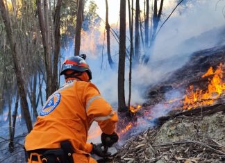Controlado en incendio forestal en el sector de El Chorrito, entre Duitama y Tibasosa