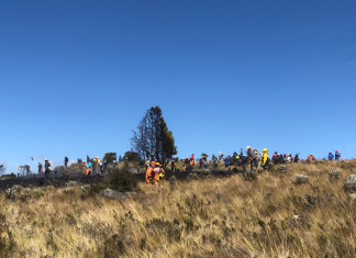 Incendio en el páramo La Cortadera, entre el fuego y el abandono