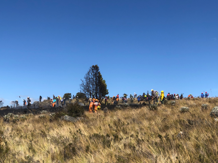 paramo2