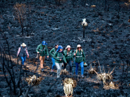 Incendio La Cortadera: Corpoboyacá instalará Mesa Técnica de trabajo